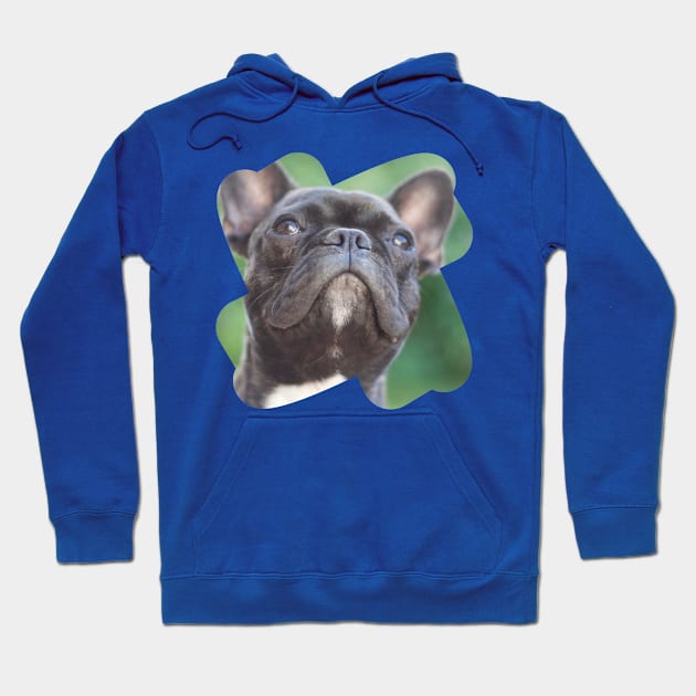 french bulldog Hoodie by FromBerlinGift